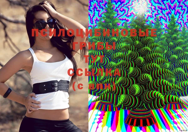 MDMA Premium VHQ Ельня